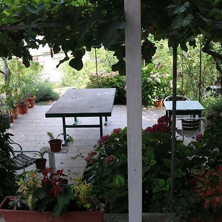 Villa Katarina Losinj Island Mali Lošinj Esterno foto