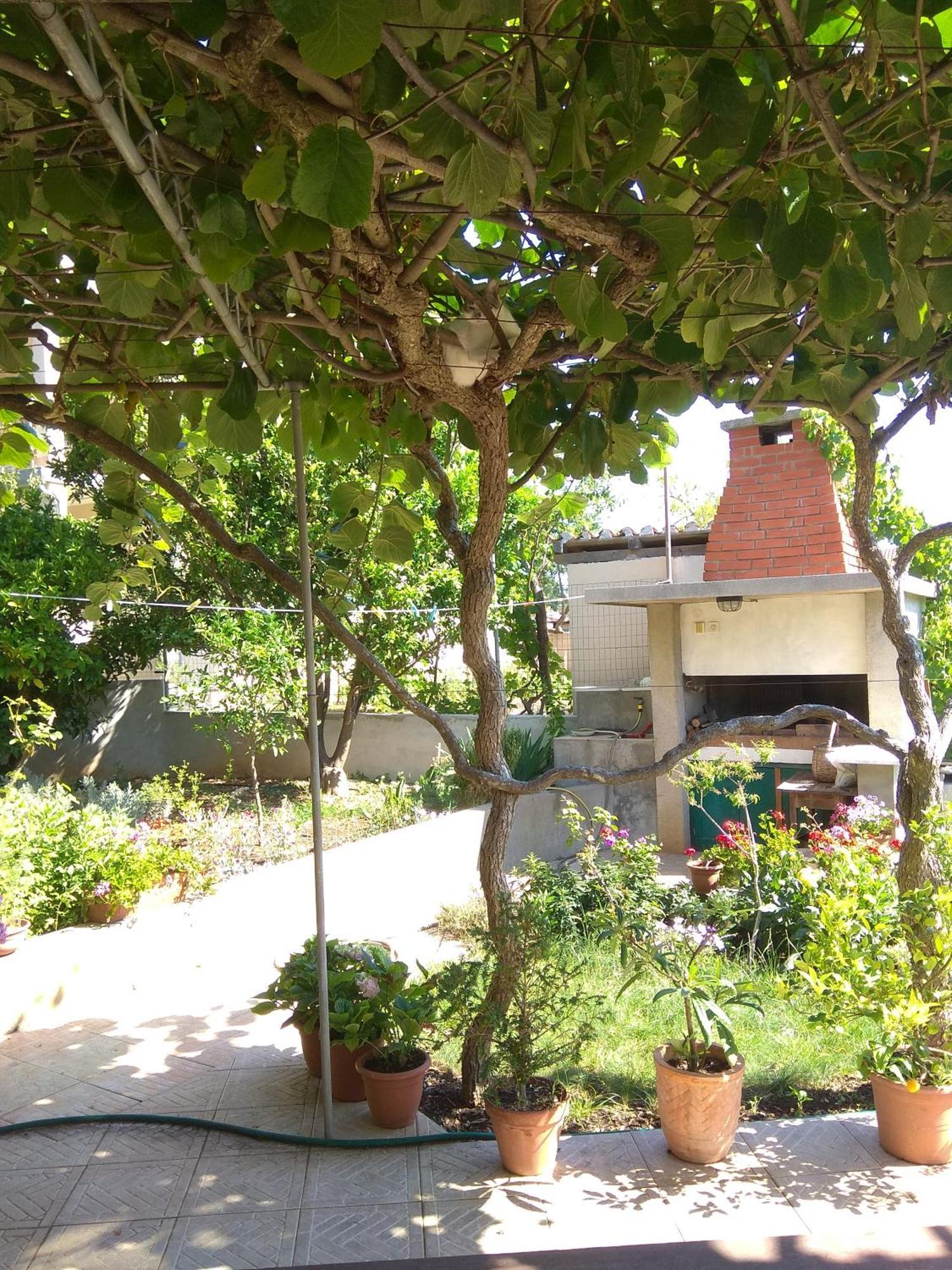 Villa Katarina Losinj Island Mali Lošinj Esterno foto