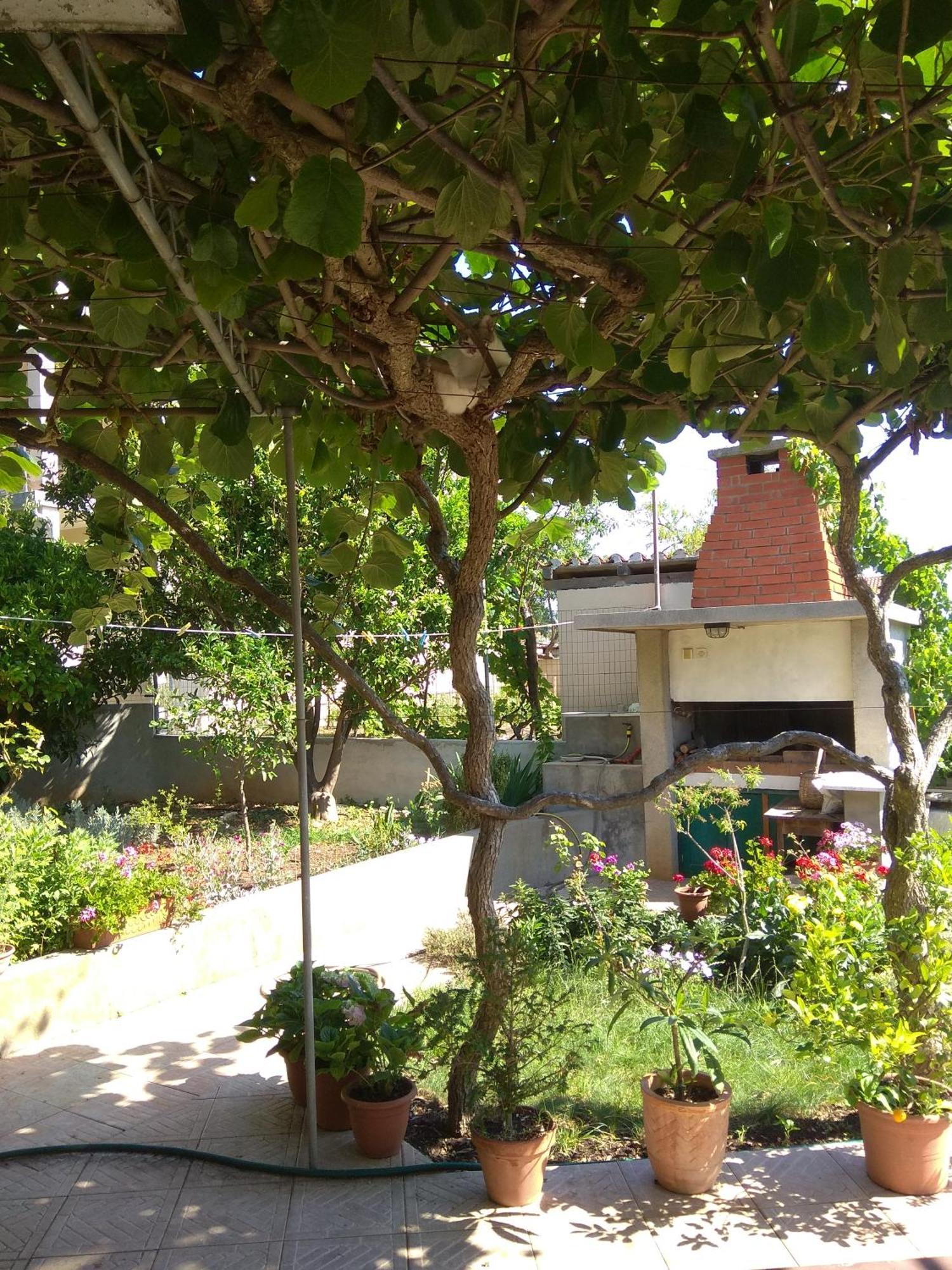 Villa Katarina Losinj Island Mali Lošinj Esterno foto