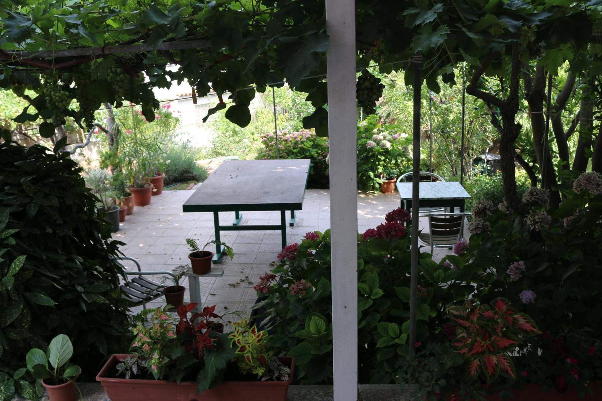 Villa Katarina Losinj Island Mali Lošinj Esterno foto