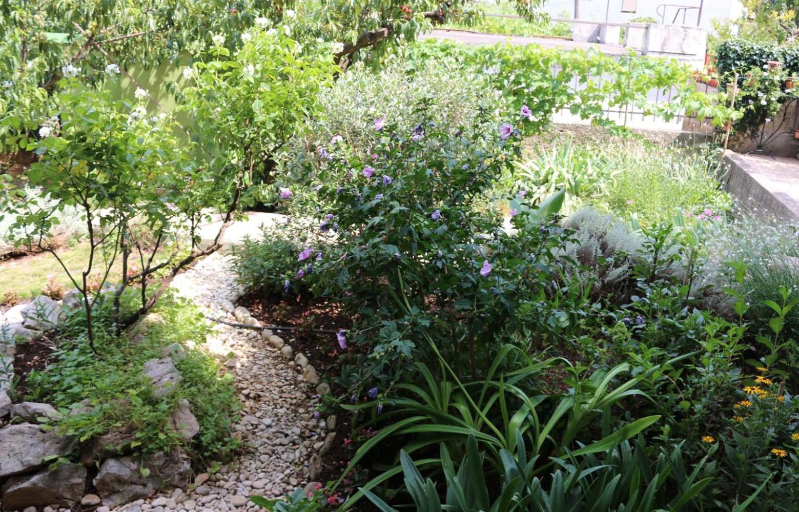 Villa Katarina Losinj Island Mali Lošinj Esterno foto